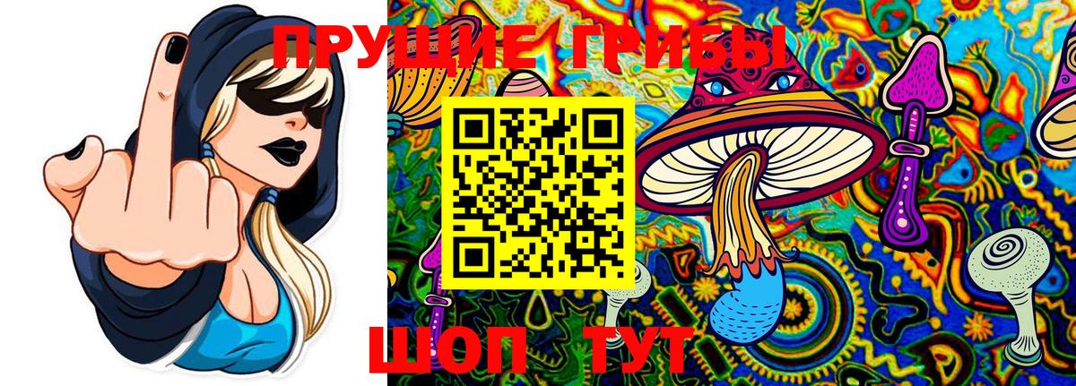 Псилоцибиновые грибы MAGIC MUSHROOMS Асино
