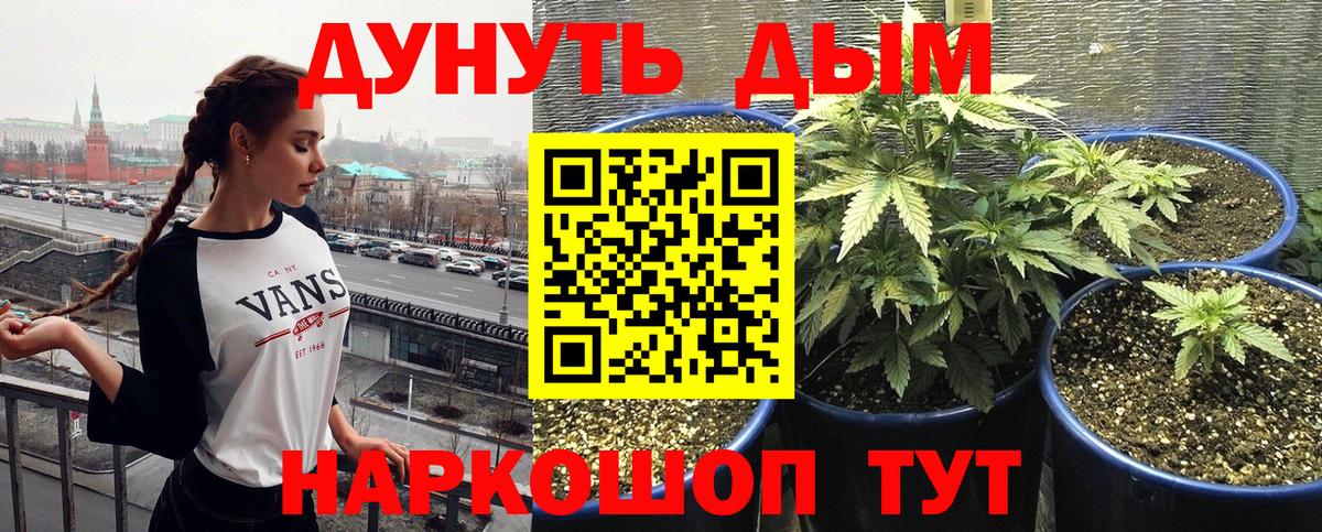 Бошки марихуана тримм  Вход с VPN  Асино  Бошки марихуана семена  Канабис план 